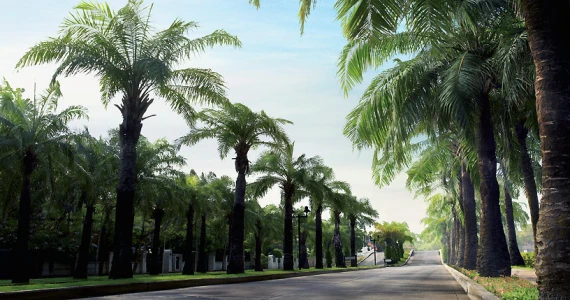 รูปภาพ นันทวัน ศรีนครินทร์ (Nanthawan Srinakarin)