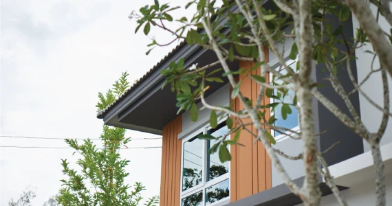 รูปภาพ เซนส์ สายไหม 56 (Sense Saimai 56)