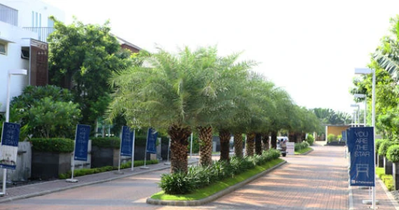 รูปภาพ เดอะ สตาร์ เอสเตท พัฒนาการ 69 (The Star Estate)