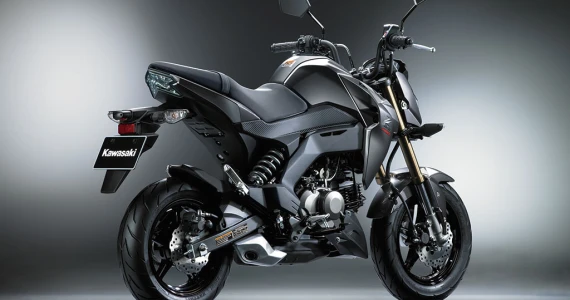 รูปภาพ คาวาซากิ Kawasaki Z 125 Pro ปี 2021