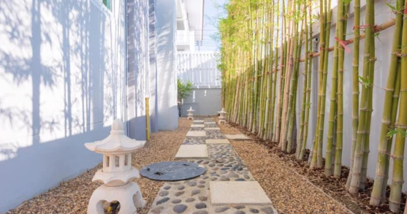 รูปภาพ เซ็นเต้ พระราม 2 (Zente Rama 2)