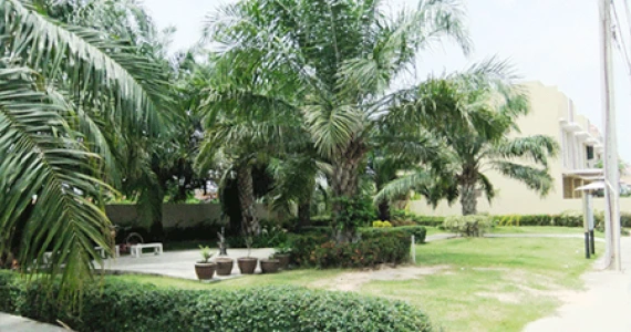 รูปภาพ บ้านร็อคการ์เด้น - แอร์พอร์ต เฟส 1 (Baan Rock Garden Airport Phase 1)