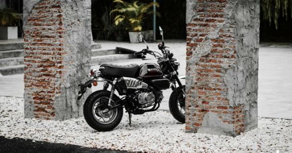 รูปภาพ ฮอนด้า Honda Monkey - The Immortal Black Edition ปี 2020