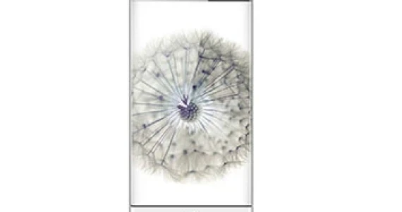 รูปภาพ แซดทีอี ZTE nubia Z11