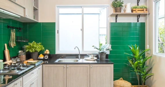 รูปภาพ เดอะ แพลนท์ ปากเกร็ด (The Plant Pakkred)