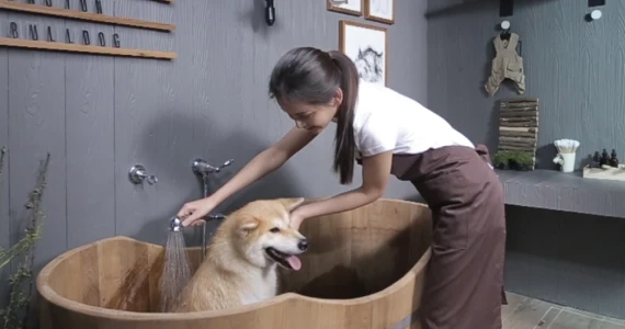 รูปภาพ เบล็สทาวน์ กรุงเทพ - ปทุมธานี (Bless Town Krungthep - Patumthani)