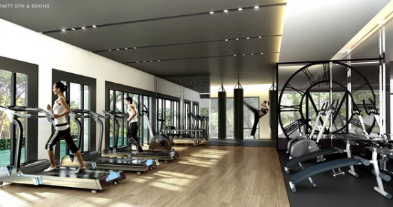 รูปภาพ มาเอสโตร 02 ร่วมฤดี (Maestro 02 Ruamrudee)