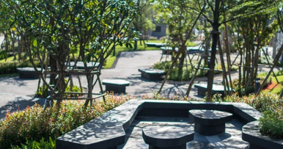 รูปภาพ สราญสิริ เกาะแก้ว (Saransiri Kohkaew)