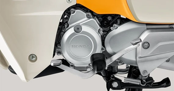 รูปภาพ ฮอนด้า Honda Super Cub (Standard) ปี 2025
