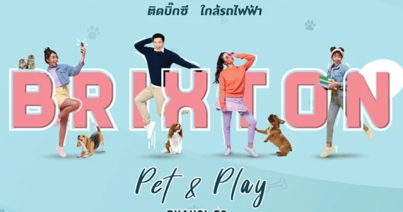 รูปภาพ บริกซ์ตัน เพ็ทแอนด์เพลย์ พหลฯ 50 สเตชั่น (Brixton Pet & Play Phahol 50 Station)