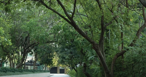 รูปภาพ 1249 Residence