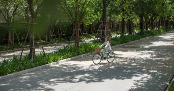 รูปภาพ คณาสิริ ชัยพฤกษ์ - วงแหวน (Kanasiri Chaiyapruek - Wongwaen)