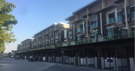 รูปภาพ เดอะไพรด์ (The Pride)