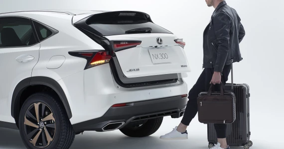 รูปภาพ เลกซัส Lexus NX 450h+ F Sport ปี 2021