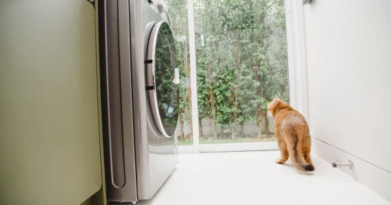 รูปภาพ ศุภาลัย วิลล์ วงแหวน-ลำลูกกา คลอง 7 (ศุภชวาล) (Supalai Ville Wongwaen-Lamlukka Klong 7)