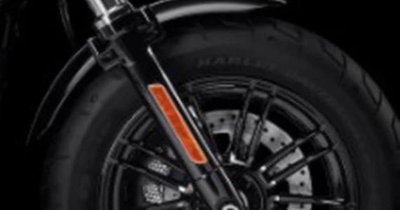 รูปภาพ ฮาร์ลีย์-เดวิดสัน Harley-Davidson Cruiser Forty-Eight ปี 2022