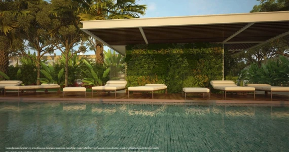 รูปภาพ ทรีท็อปส์  (Tree tops)