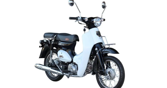 รูปภาพ จงเซิน ริวก้า Zongshen Ryuka Classic Mini ปี 2015