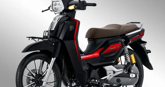 รูปภาพ จีพีเอ็กซ์ GPX Rock Elegance ปี 2020