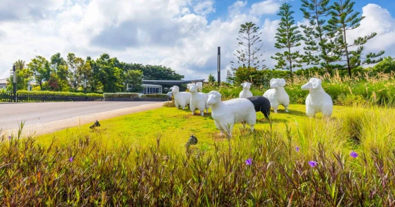 รูปภาพ อินนิซิโอ เชียงใหม่ (inizio Chiang Mai)