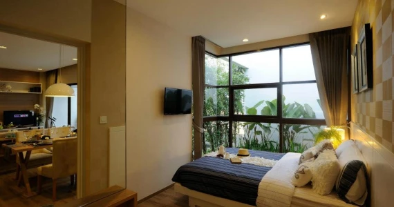 รูปภาพ ทรีท็อปส์  (Tree tops)