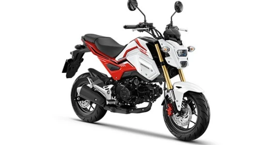 รูปภาพ ฮอนด้า Honda MSX125 SF Standard MY20 ปี 2020