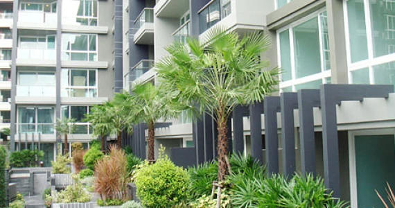 รูปภาพ เอปัส พัทยา (Apus Pattaya)