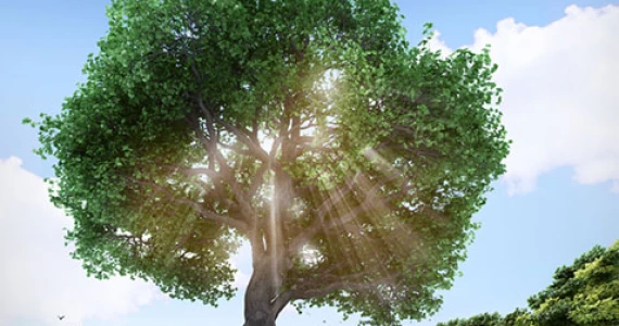 รูปภาพ เออร์บิเทีย ทองหล่อ (Urbitia Thong lo)