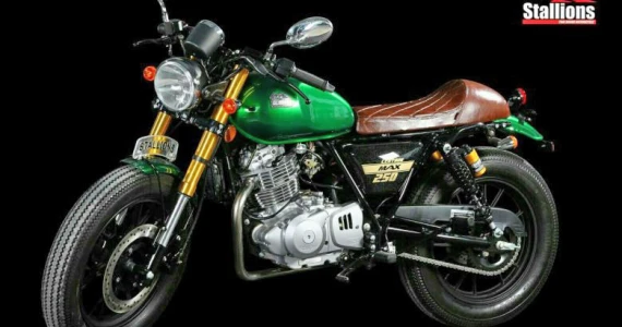 รูปภาพ สตาเลียน Stallions Centaur 250 Max ปี 2016