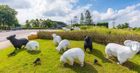 รูปภาพ อินนิซิโอ เชียงใหม่ (inizio Chiang Mai)