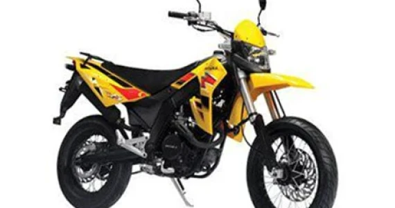 รูปภาพ จงเซิน ริวก้า Zongshen Ryuka Fly 150 (Standard) ปี 2008