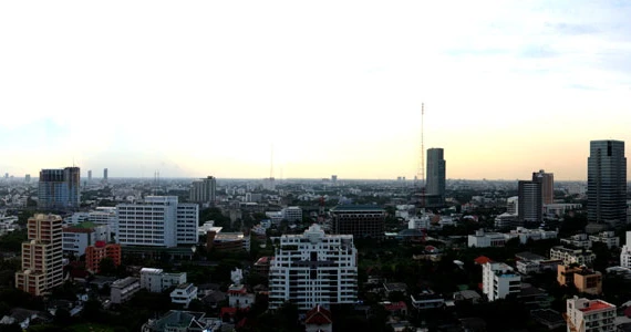 รูปภาพ โนเบิล รีฟอร์ม (Noble Reform)