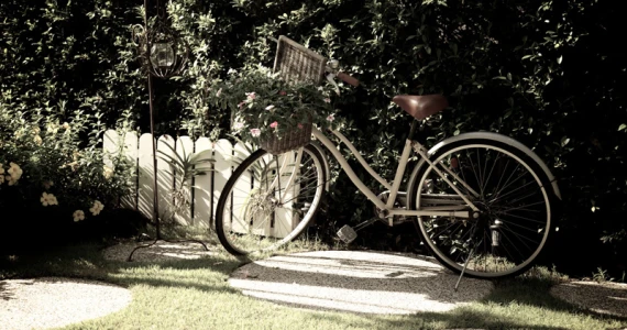 รูปภาพ บุราสิริ ปัญญาอินทรา (Burasiri Panyaindra)