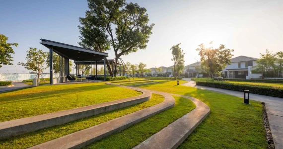 รูปภาพ ชัยพฤกษ์ ทางด่วนรามอินทรา - จตุโชติ (Chaiyapruk Ramindra Expressway - Jatuchote)