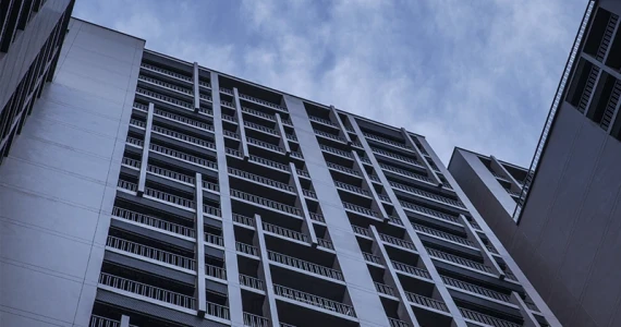 รูปภาพ โนเบิล รีวีล (Noble Reveal)