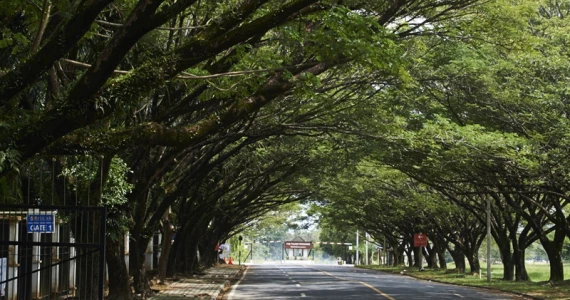 รูปภาพ บุราสิริ เกาะแก้ว ภูเก็ต (Burasiri Kohkaew Phuket)
