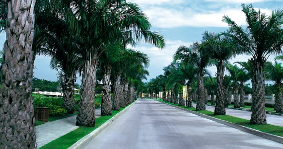 รูปภาพ นันทวัน ศรีนครินทร์ (Nanthawan Srinakarin)