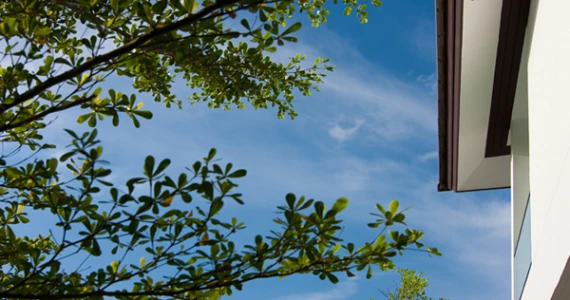 รูปภาพ เนอวานา ไอคอน พระราม 9 (บ้านเดี่ยว 2 ชั้น) (Nirvana ICON Rama 9)