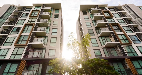 รูปภาพ เซล รัตนาธิเบศร์ (Zelle Rattanathibet)