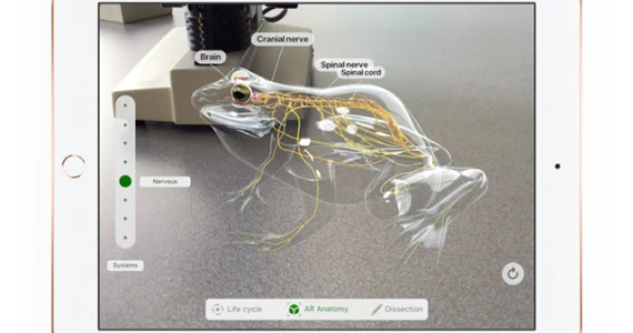รูปภาพ แอปเปิล APPLE-iPad 9.7 (2018) Wi-Fi 32GB
