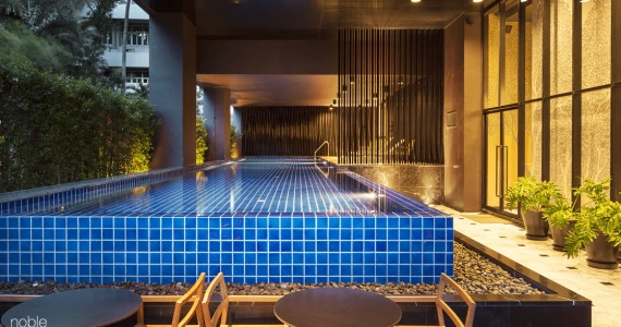 รูปภาพ โนเบิล รีวีล (Noble Reveal)