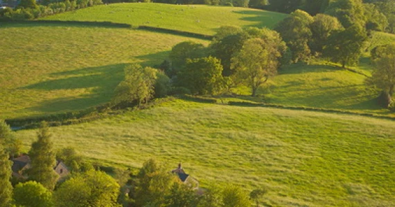 รูปภาพ เดอะ คอทส์โวลด์ เขาค้อ (The Cotswold Khao Kho)