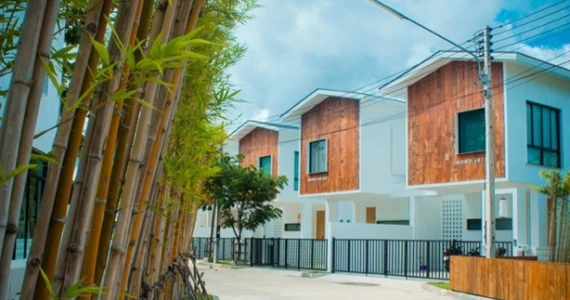 รูปภาพ โมโน ภูเก็ต (MONO Phuket)