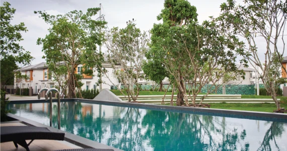 รูปภาพ เซนส์ สายไหม 56 (Sense Saimai 56)