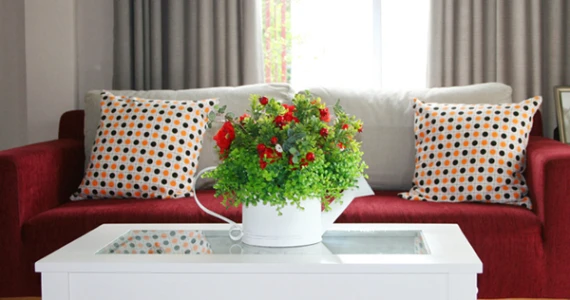 รูปภาพ บ้านเจษฎา 10 (Baan Jasada 10)