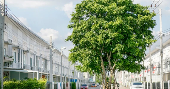 รูปภาพ อาร์เค พาร์ค รามอินทรา-ซาฟารี (RK Park Ramindra - Safari)