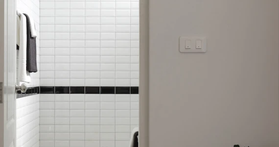 รูปภาพ เวอรีเดียน พรอมท์ (Viridian Prompt)