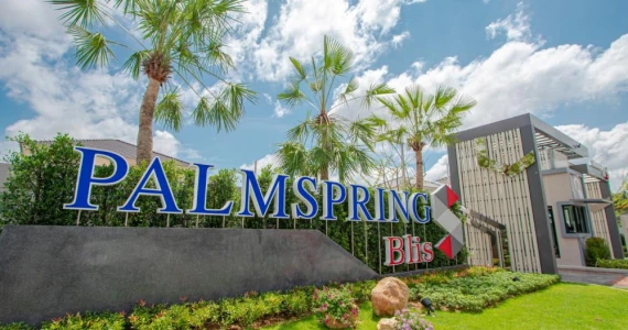 รูปภาพ ปาล์มสปริงส์ บลิส (Palmspring Blis)