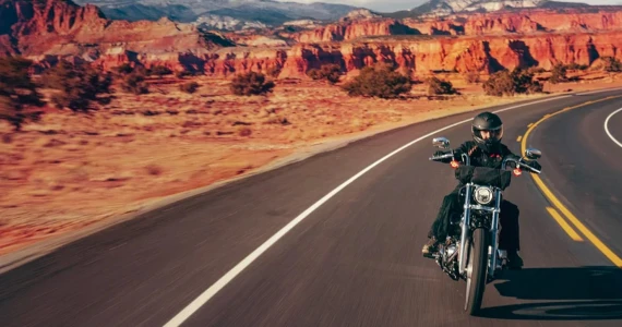 รูปภาพ ฮาร์ลีย์-เดวิดสัน Harley-Davidson Softail (Standard) ปี 2024