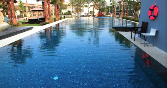 รูปภาพ อินดี้ ประชาอุทิศ (2) (Indy Prachauthit 2)